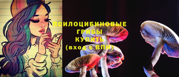 бошки Алексеевка