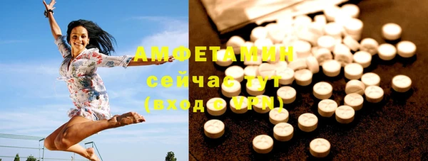метадон Алексин