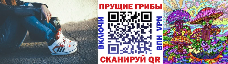 Псилоцибиновые грибы Psilocybe  купить наркотики цена  Глазов 